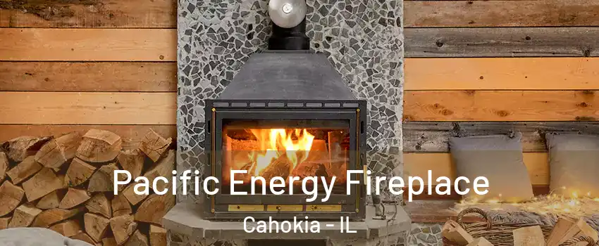  Pacific Energy Fireplace Cahokia - IL