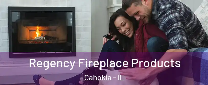  Regency Fireplace Products Cahokia - IL