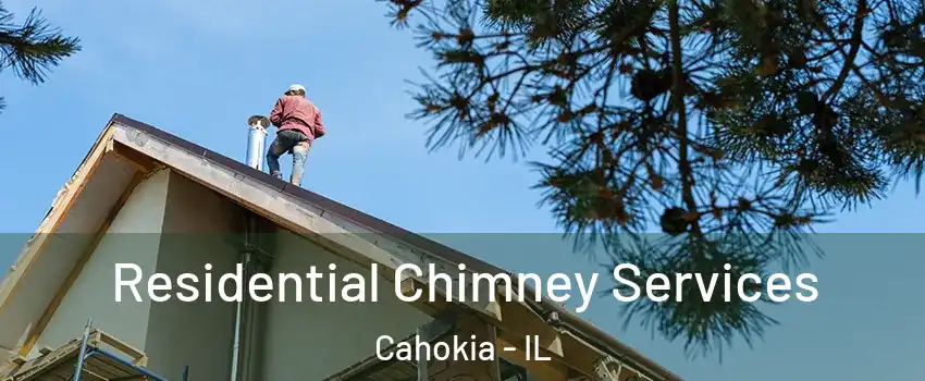  Residential Chimney Services Cahokia - IL