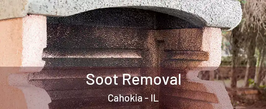  Soot Removal Cahokia - IL