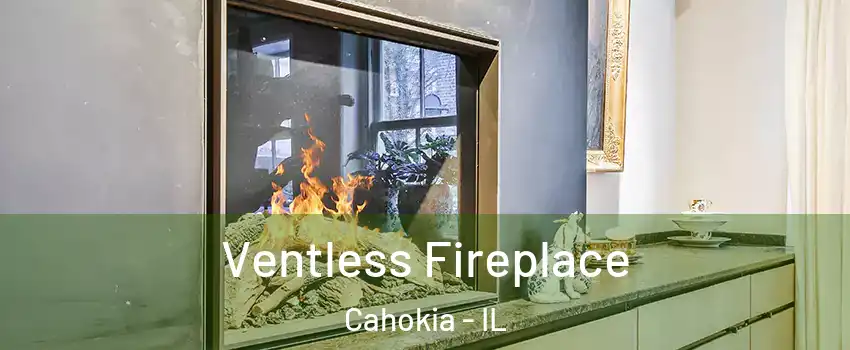  Ventless Fireplace Cahokia - IL