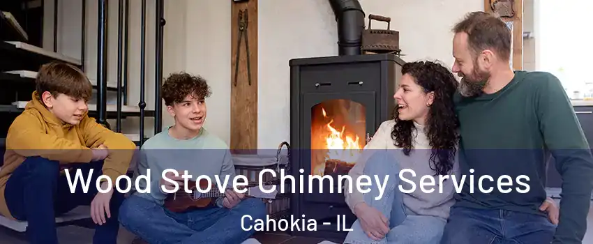 Wood Stove Chimney Services Cahokia - IL